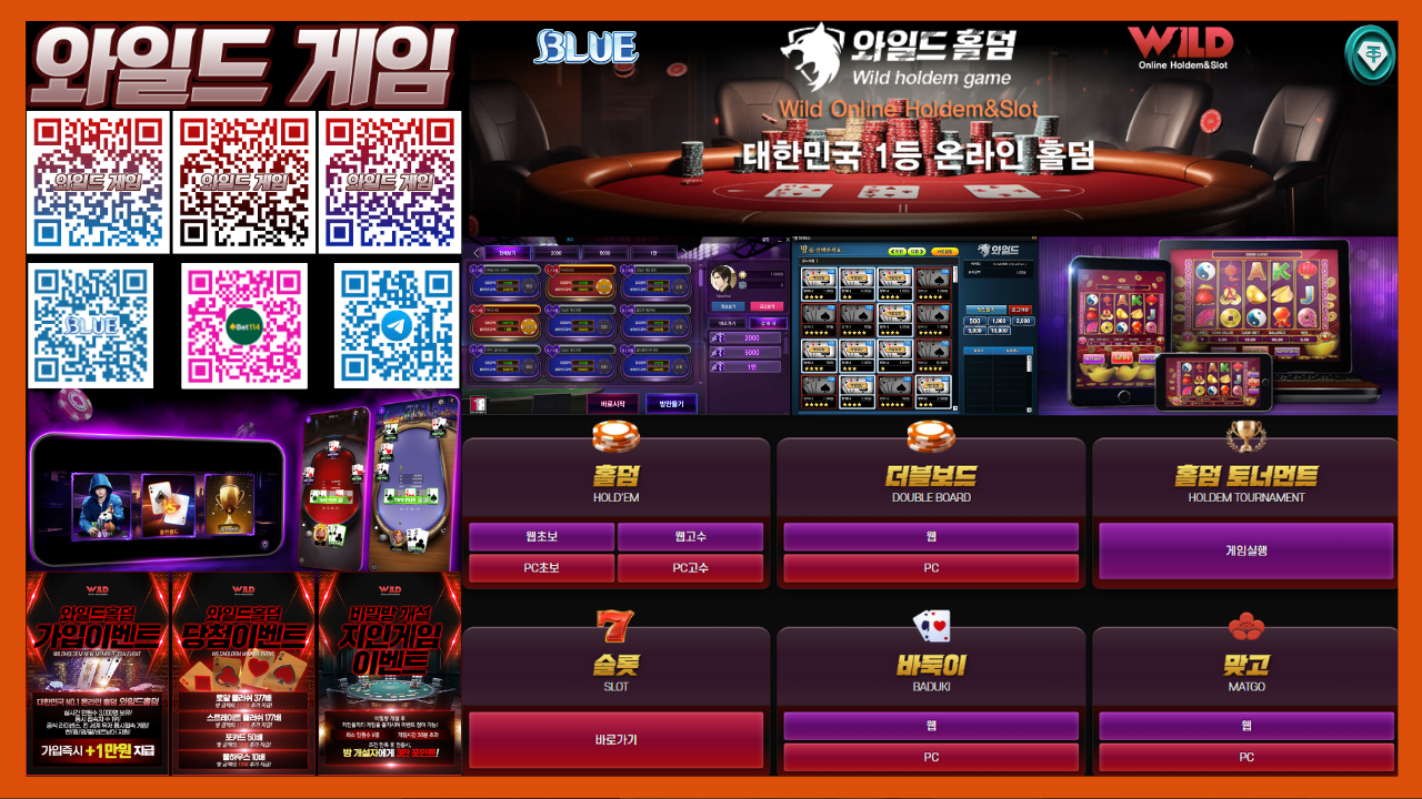 ⭐️2026년 성인PC방 바둑이 홀덤 맞고 슬롯 바카라⭐️블루바둑이 & 와일드바둑이 & 원화 테더USDT(트론)가능!⭐️